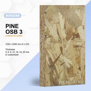 Cheap 9mm 12mm 15mm 18mm OSB 3 OSB 2 (Oriented Strand Board) OSB plywood