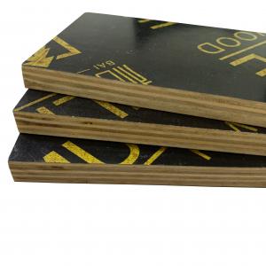  Manufacturer hot sell product High Quality Construction Eucalyptus Film face Plywood