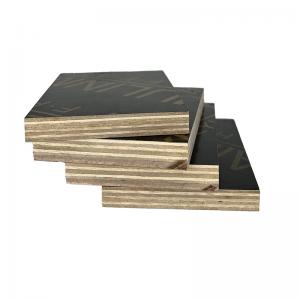 Manufacturer high quality Strong waterproof Marine Eucalyptus Plywood